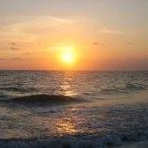 Meet your Posher, Lara